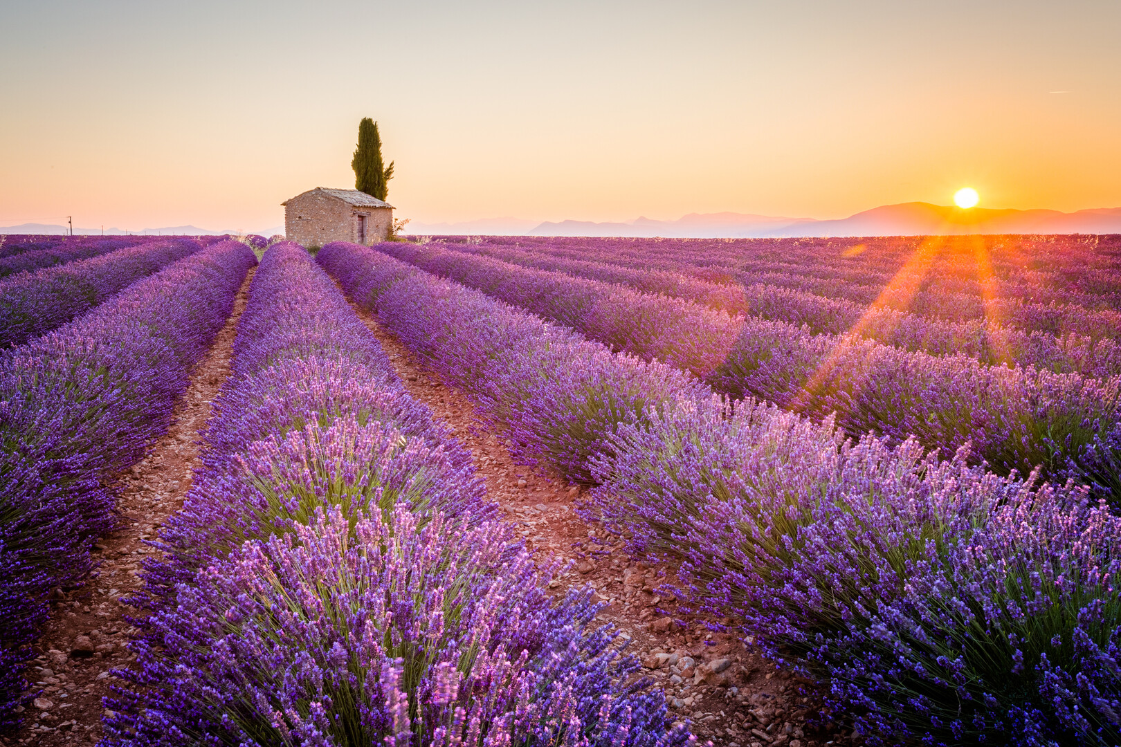 Tour Camargue, Provenza e Costa Azzurra